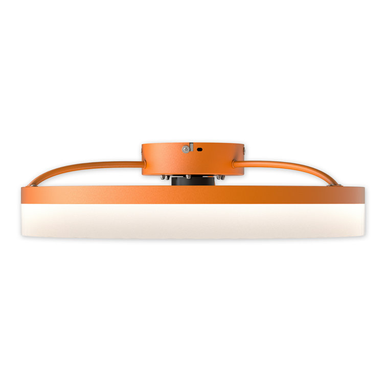 Frauly 19.7 Inch Led Enclosed Low Profile Ceiling Fan With Light