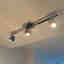 Photos des clients 1 de 1