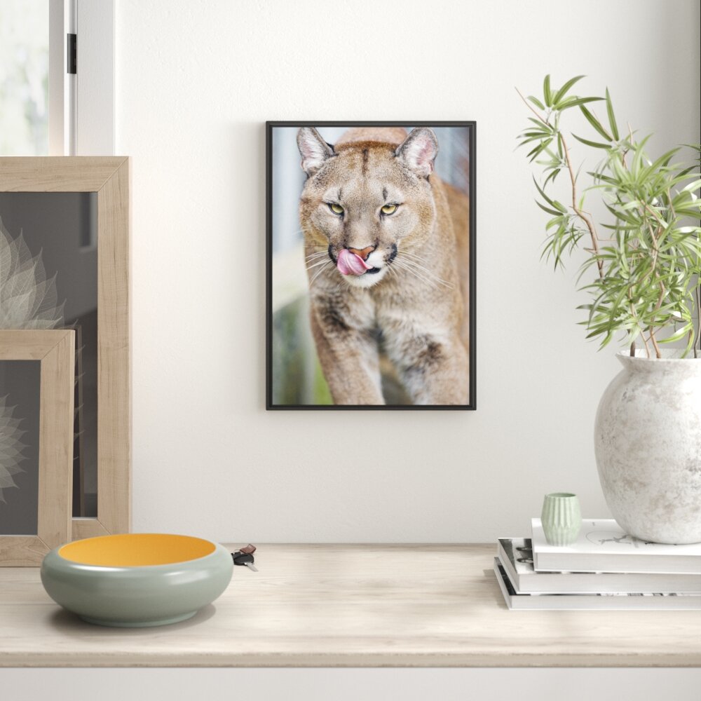 Gerahmtes Wandbild anmutiger Puma