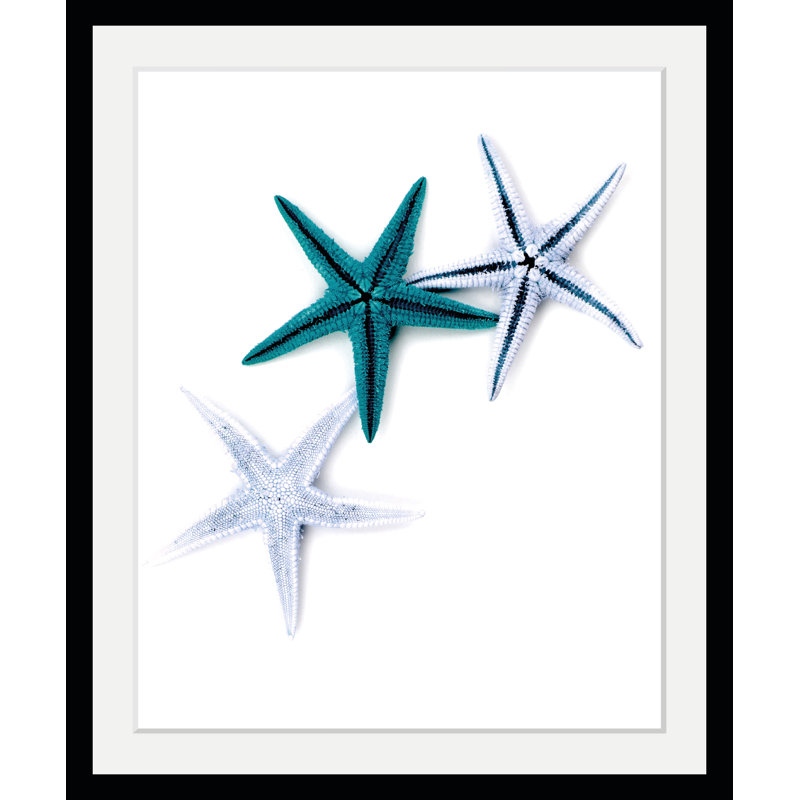 Starfish - Single Picture Frame Print