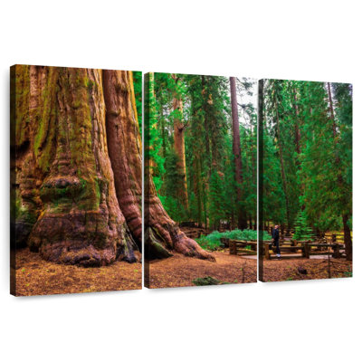 Redwood Harnek