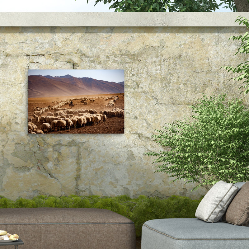 «Desert Sheep Herd on Canvas» par Murat Cacim, reproduction, H 12 po x l 19 po