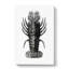 Lobster Illustrations by E.F. Jomard - Wrapped Canvas Print-55311271