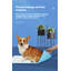 Tapis pour chien (ensemble de 40)