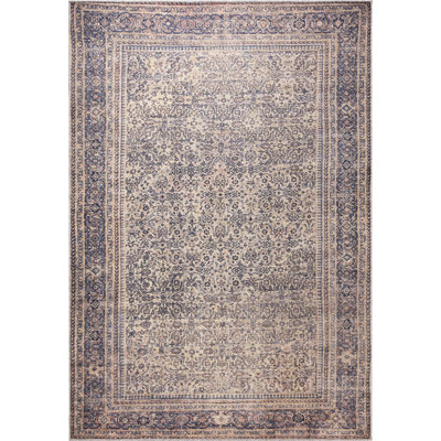 Devendr Oriental Indoor Rug