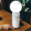 Lampe de bureau Roshanta
