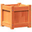 Ander Planter-1011546377-1011546372