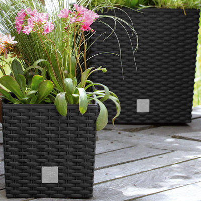 Petty Planter Box