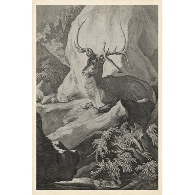 Woodland Deer VIII - Wrapped Canvas Print