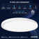 LED Flush Mount
