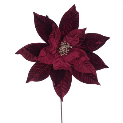 Clementina Poinsettia Stems