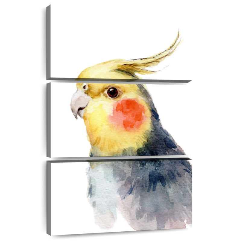 Brampt Cute Parakeet, 65" H x 42" W