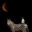 Art sur toile tendue, Latitude Run® Hollingsworth, Karen Gallery: Pilgrimage