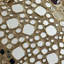 Mosaic Mirror