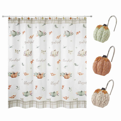 Ensemble de rideau de douche et crochets Avanti Linens