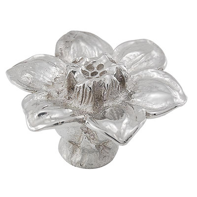 Carlotta Novelty Knob