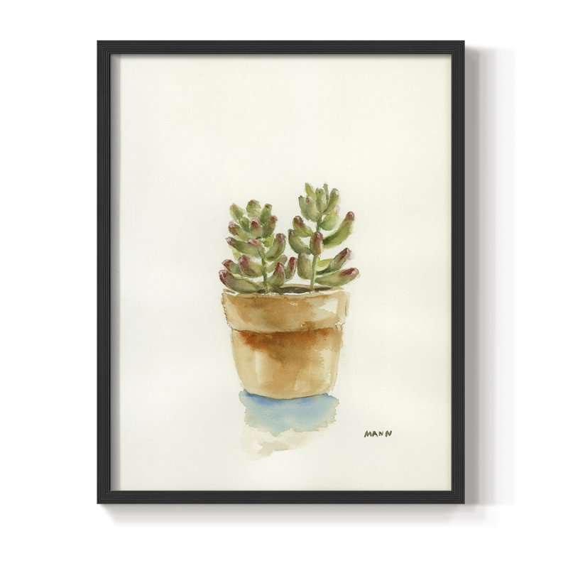 Succulent III Framed Print - Solid Wood, Black, 10" H x 8" W