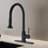 Pull Down Kitchen Faucet With Sprayer-111235208