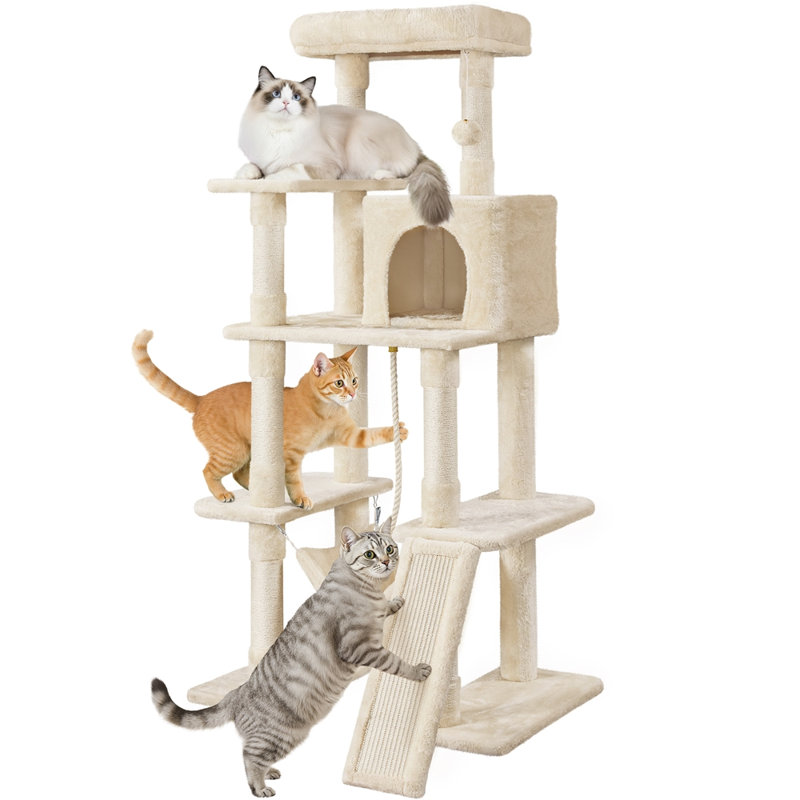 Arbre à chat Manorbier H 63 "à plusieurs niveaux pour petits et moyens chats, Beige