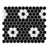 Black/White Flower