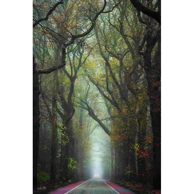" Tiny Car " by Martin Podt, 12" H x 8" W  