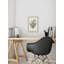 Sympathy Ferns - Single Picture Frame Print-1173034424