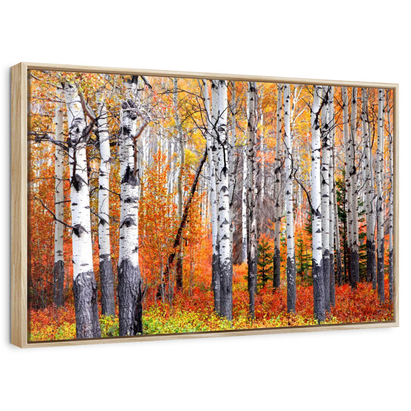 Forêt de trembles de Banff, Cadre flottant en bois naturel, 13 po x 9 po