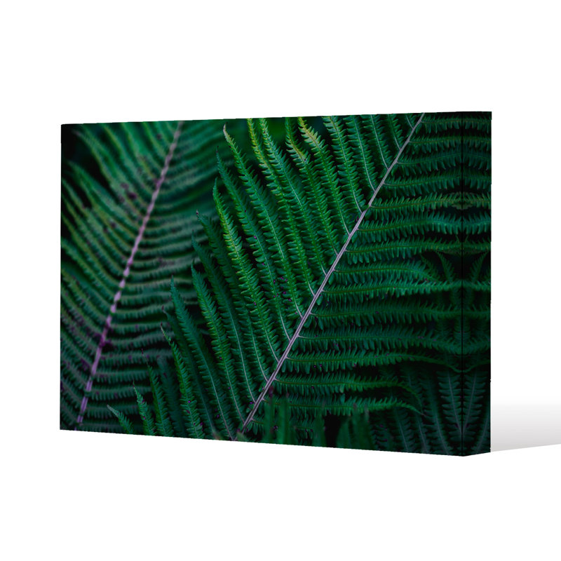 No Title by Andrew Lee - Wrapped Canvas Print