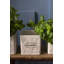 Aroma Handmade Planter Box