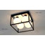 Rudin Glass Flush Mount