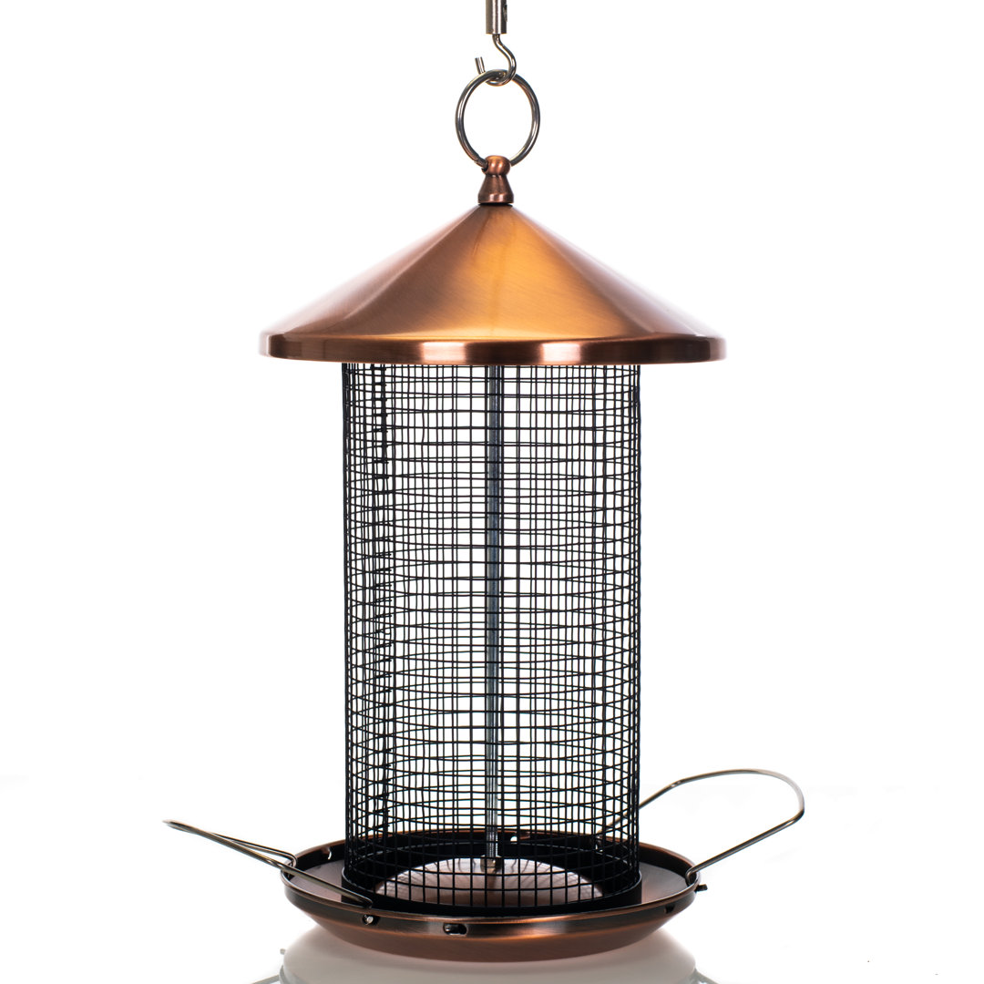 Lailaa Metal Hanging Nyjer/Thistle Feeder Gracie Oaks