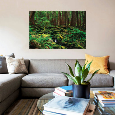 Reproduction de photo sur toile «Creek in an Old croissance Forest National Park, Washington USA»