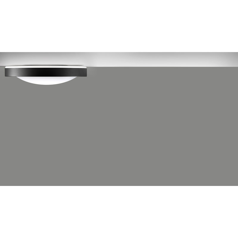 Alina Simple Circle Flush Mount, Stainless Steel/Black, 5.25" H x 19.69" W x 19.69" D