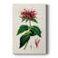 AntiqueFloralFolioI - galerie Cavas sur mesure-117829695