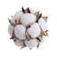 Remplisseur de vase en coton Reyelle