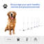 Ensemble d'obstacles pour chien Pawhut