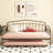 Fox Twin Daybed With Twin Trundle-894037185