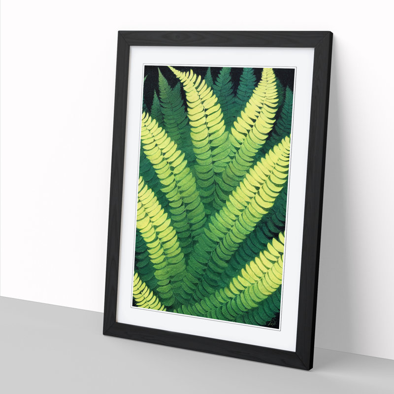 Fern Leaf Layers Vol.5 - Framed Print, 34cm H x 25cm W x 2cm D, Walnut