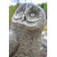 Esme Fantasy & Sci-Fi Stone Garden Statue