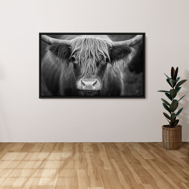 "Cow Nose BW" par Nathan Larson, reproduction sur toile dans un cadre flottant, H 27,5 po x l 43,5 po, Noir, noir, noir, noir