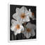 Monochromes blancs jaunes botaniques jonquilles I - jonquilles murales-1638424058-1638424062