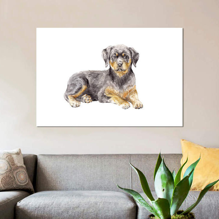 «Rottweiler Puppy», reproduction sur toile, H 8 po x l 12 po x P 0,75 po, Toile tendue, Pas de tapis