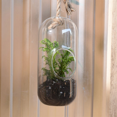 Glass Terrarium