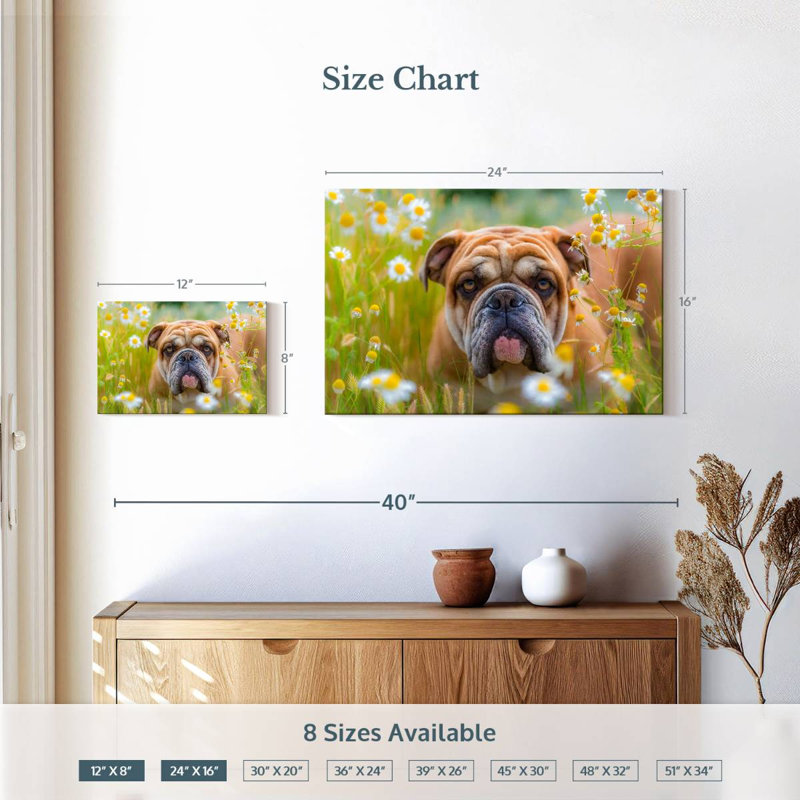 Bouledogue anglais Brampt jouant, H 16 po x l 24 po