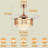 Fredu Ceiling Fan with LED Lights