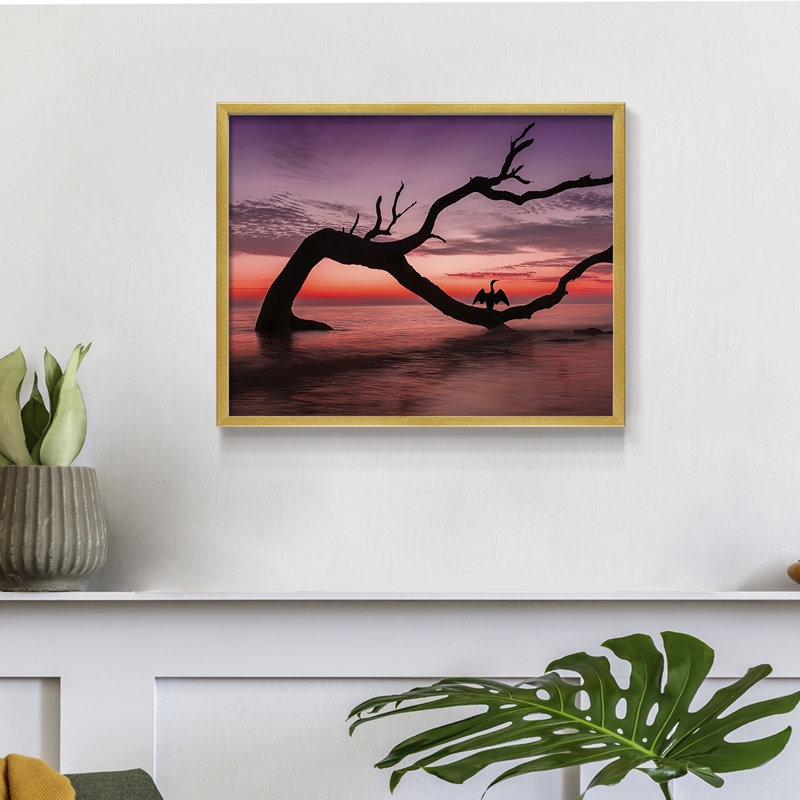Photography Study Sunset Beach -Framed Print - Restickable