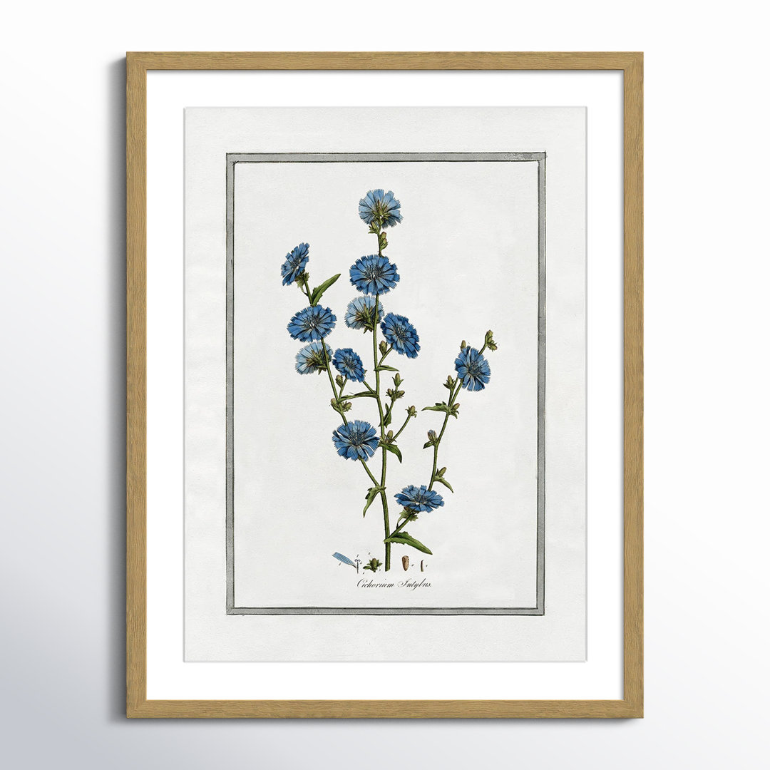 Colombe Soft Botanical I - Framed Art Full Bleed Birch Lane™ 