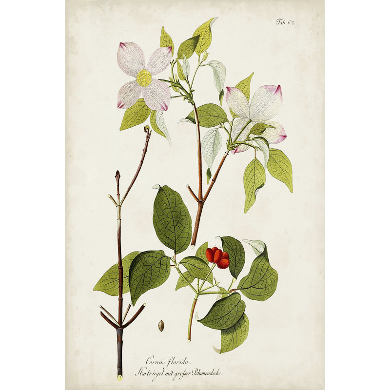 Tree in Bloom V 1 Piece Wrapped Canvas Wall Art, 91cm H x 61cm W