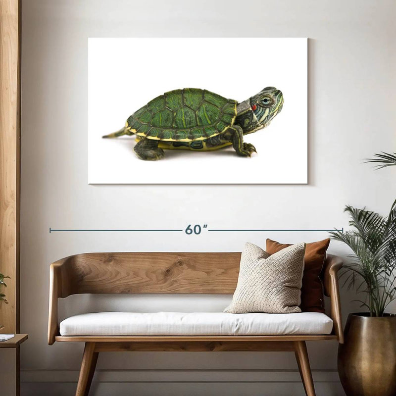 Red Eared Turtle, 30" H x 45" W