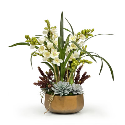 Orchid Succulent In Golden Pot